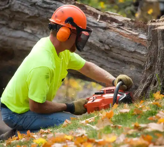 tree services Ahoskie